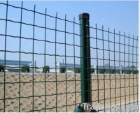 hot sale holland welded wire mesh