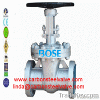Carbon steel flange RF RTJ gate valve