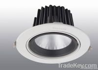 LED down light