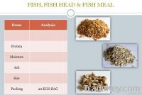 Fish Meal