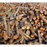 Top seller Mangrove Wood Charcoal: Brand VinaCharcoal