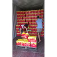 Comprehensive Safety Natural Charcoal for Importers