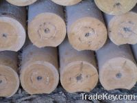 Round Pine Logs