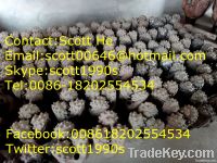 Old Tricone and PDC Drilling Rock Bits