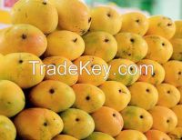 Kesar Mangoes - Carbide FREE