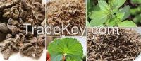 Ayurvedic Herbs Powders