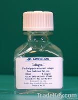 Pepsin-solubilised collagen type I
