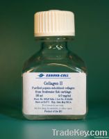 Pepsin-solubilised collagen type II