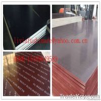 film faced plywood, shuttering plywood