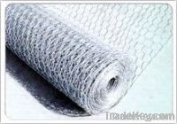 Hexagonal wire mesh