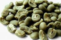 Export Arabica Coffee Beans,Arabica Coffee Bean Importer,Arabica Coffee Beans Buyer,Buy Arabica Coffee Beans,Arabica Coffee Bean Wholesaler,Arabica Coffee Bean Manufacturer,Best Arabica Coffee Bean Exporter,Low Price Arabica Coffee Beans,Best Quality Arab