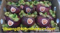 SELL MANGOSTEEN