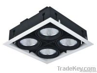 LED Downlight