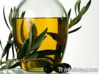 Vegetable Oils - Greek Olive Oils and Table Olives