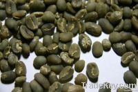 Mandheling Arabica High Grade Coffee Beans