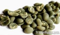 Lintong Arabica Grade 1 Coffee Beans