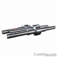 Motor shaft