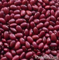 Red Kidney Beans