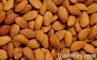 Almond Nuts