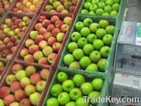 Delicious Apple | Royal Gala Apple