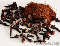 Clove Spices For Sale