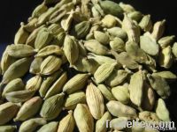 Green Cardamom For Sale