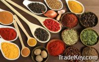 Spices And Herbs