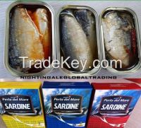 canned sardine