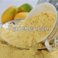 Top quality and 100% pure dried mango powder