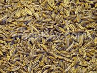 cumin seeds