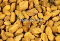 fenugreek seed 