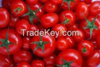 Plum Tomato