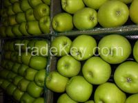 Fresh Apples whole sale