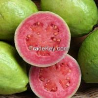 Fresh Guava