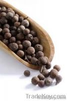 Black Pepper Vietnam