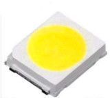 0.2W 2835 SMD LED 20-26 Lm Plcc2