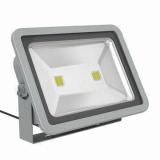 Factofy Direct High Power 120W LED Floodlight with CE&RoHS (QC-FL12)