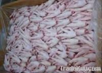 Frozen Chicken Feet