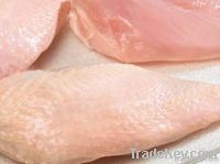 Chicken Breast