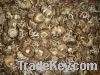 https://es.tradekey.com/product_view/Dried-Shiitake-Mushroom-In-Spring-5150160.html