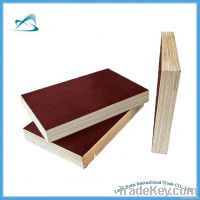 film faced plywood construction used