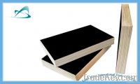 construction plywood made in china
