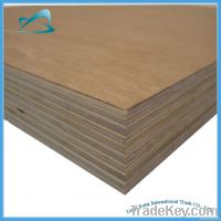 import door skin plywood