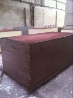 Linyi film faced plywood manufacturer