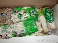 https://fr.tradekey.com/product_view/Assoeted-Pack-Mushroom-5161480.html