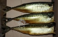 Cold smoked mackerel