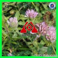 KOSHER Certificated Red Clover extract