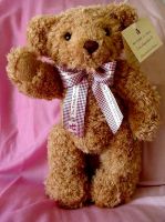 15" Teddy Bear