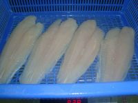 Pangasius/ Basa fish