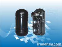 Outdoor Waterproof 2 Beam Infrared Detector ABE-50